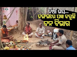 Watch- Yagna Held In Bhubaneswar To Save Forest From Wild Fire