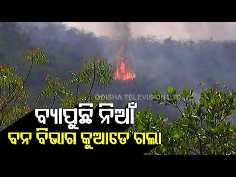 Watch- Fire Breaks Out At Bagharakhol Forest Near Chandaka