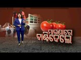 Farmers Forced To Distribute Tomatoes Free Of Cost In Sundergarh - OTV Report