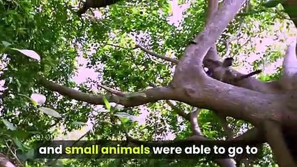 500 Homes Ordered Evacuated in Palisades Fire in California | Moon TV News