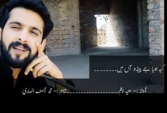 Poetry Ki Hoya Jay Pendu Aan Main By Saeed Aslam | Punjabi Poetry WhatsApp status | Poetry status