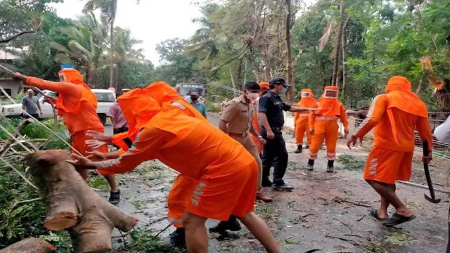 Cyclone Tauktae: Several trees uprooted in Mumbai