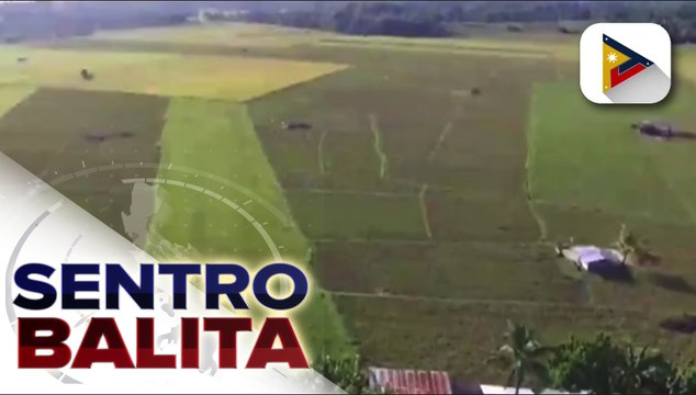 Ilang grupo ng magsasaka, tutol sa pagbaba ng taripa sa imported rice; Department of Agriculture, tiniyak na hindi babaha ng imported rice sa harvest season