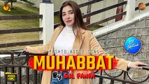 Muhabbat By Gul Panra - Pashto New Song - Tang Takoor