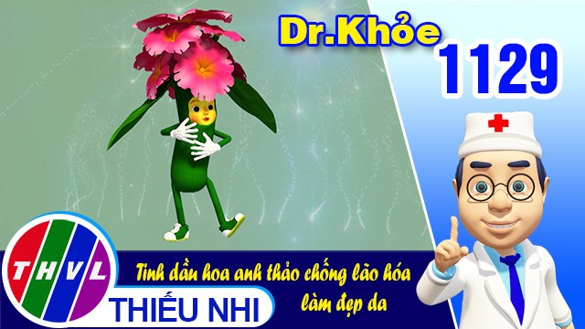 Dr. Khỏe - Tập 1129: Tinh dầu hoa anh thảo chống lão hóa làm đẹp da