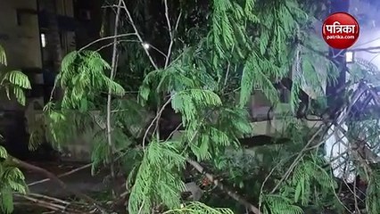 Video: Cyclone Tauktae के चलते मुंबई में भारी बारिश, कई जगह उखड़े पेड़, समुद्र में उठ रही ऊंची लहरें