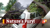 CycloneTauktae Impact: Heavy Winds Batter Gujarat Coast