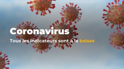 Coronavirus en Belgique : les chiffres de l'épidémie sont sur la bonne voie