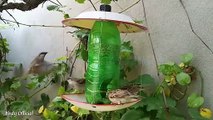 Best Homemade Bird Feeder - Make No Mess Bird Feeder From Recycled Materials