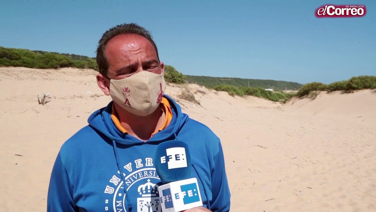 Emergen en la costa de Cádiz unas termas romanas excepcionalmente conservadas