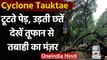 Cyclone Tauktae: टूटते पेड़, उखड़ते खंभे, उड़ती छतें, देखें तूफान से तबाही का मंज़र | वनइंडिया हिंदी