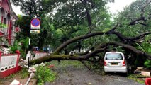 Cyclone Tauktae: Over 100 houses damaged in Goa, highways blocked