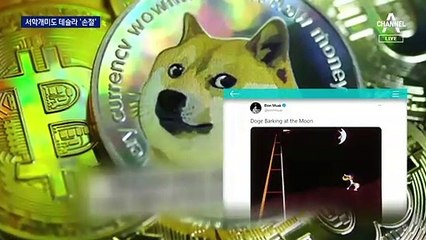 머스크의 코인 장난에…테슬라 외면하는 서학개미