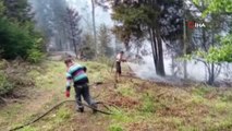 Son dakika haberleri | Artvin'deki orman yangınında 4 bin çam ve ladin ağacı yandı