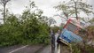 Heavy rains lash Mumbai, tree uproots due to cyclone