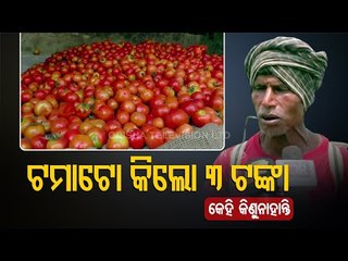 Tomato Farmers Discouraged Over Distress Sale In Basudevpur