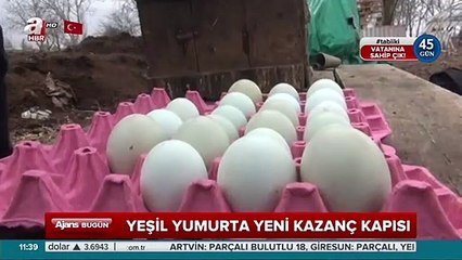 Bu yumurtanın tanesi tam 20 lira!