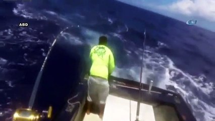 Dev balık balıkçıyı böyle sürükledi