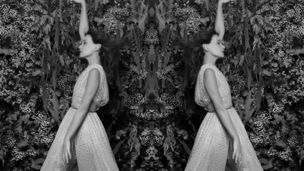 Carla Bruni - La mort des amants