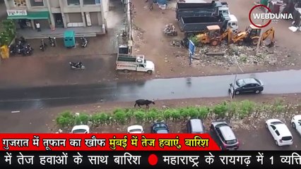 Gujarat और Maharashtra पर तूफान का साया, तेज हवाएं और बारिश