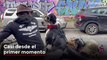 Conoce a Diego, el valiente perro que ama andar en moto junto a su dueño