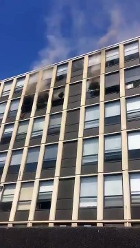 Un chat saute d'un immeuble en feu et retombe sur ses pattes sans une égratignure