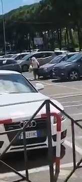 Une famille de sangliers vient voler les courses d'une cliente à la sortie dun supermarché (Italie)