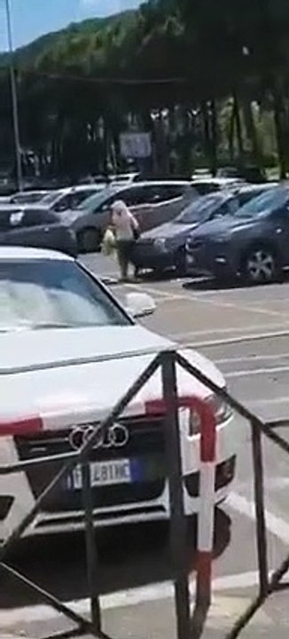 Une famille de sangliers vient voler les courses d'une cliente à la sortie dun supermarché (Italie)