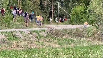 Un pilote de rallye fait une sortie de route et le public va avoir très chaud