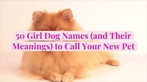 50 Girl Dog Names (and Their Meanings) to Call Your New Pet
