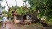 Trees uprooted, streets waterlogged due to Cyclone Tauktae