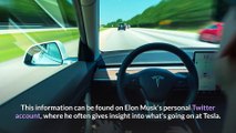 Crypto News - Elon Musk Tesla Has Not Sold Any Bitcoin - Bitcoin News