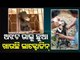 Special Story | Sambalpur | Rescued Bear Cub 'Rafale' Winning Hearts With Playful Activities
