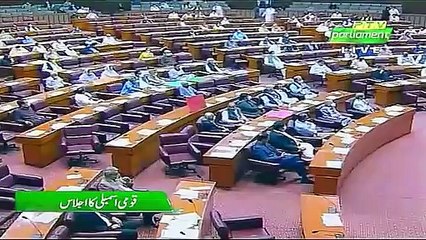 Shah Mehmood Qureshi Big Announcement | Israel - Palestine Issue