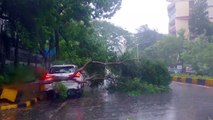 El ciclón Tauktae llega a India en plena crisis por el covid-19