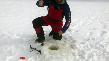 14,5 kiloluk balığı eliyle yakalayan vatandaş!