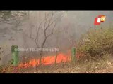 Forest In Sambalpur Rages In Fire