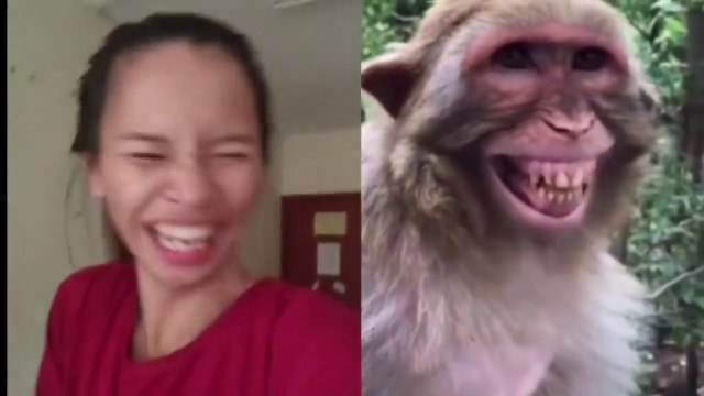 Troll Prank Dog Funny & fake Lion and Fake Tiger Prank To dog ,Huge Box Prank to dog _ Ep50_Troll ( 720 X 1280 )