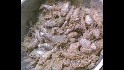 ไม่น่าเชื่อค้นพบปลาร้าอายุเก่าแก่ที่สุดในโลกและไม่ได้เจอที่ไทย!!! สาระน่ารู้ Around The World No.227