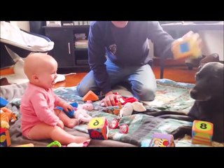 Cute Pets And Funny Animals Video Compilation #3  ^Pet Playlist^