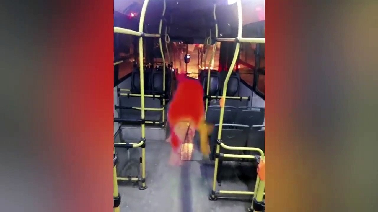 Top 5 Fantasmas Captados En Cámara Que Te Quitarán El Estreñimiento