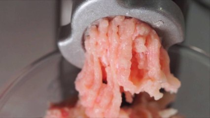 Study Finds Even Some Omnivores Are Disgusted by Meat