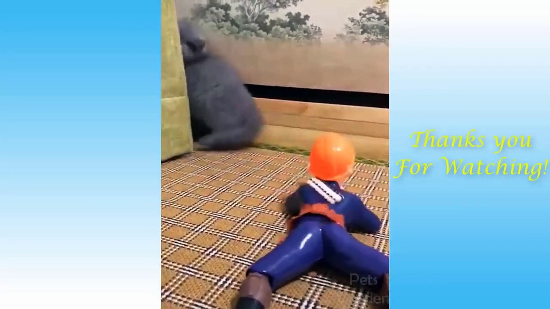 ⁣Cute Pets And Funny Animals Compilation #15 - Pets Garden