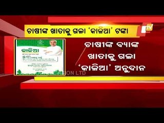 Odisha Govt Disburses KALIA Money To Farmers' Accounts