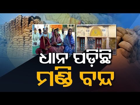 Thousands Of Bags Paddy Lying In Open At Padampur Marketyard In Bargarh