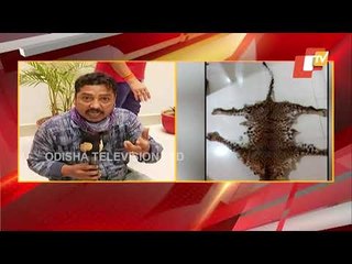 Crime Branch Seizes Leopard Skin In Nayagarh, 2 Held
