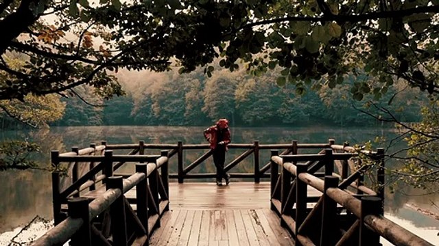 Chill| chilling| chill mood| relaxing| relax| ambience relaxation| rain sounds| rain| calmness| calming| stress relieving| depression| are you feeling anxious| anxiety| depression| chill music| sleep and rest| sad mood| lonely| sad| love by Rest In Peace