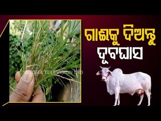 Bhagya Rekha - Know Your Horoscope For Today 3 April 2021 | OTV