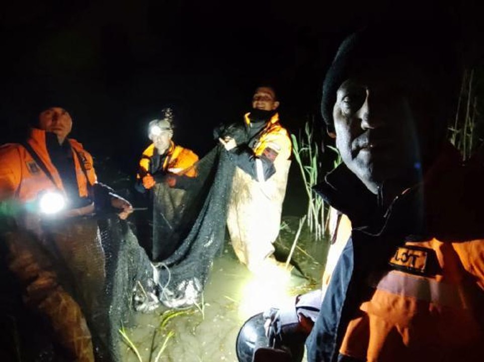 Van'da kaçak avlanan 15 ton 'canlı balık' tekrar suya bırakıldı