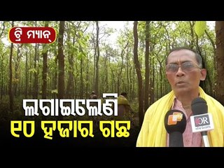 Tree Man Narottama Das Of Mayurbhanj Committedly Working To Save Jungle